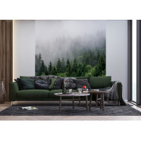 Moderné fototapety - Les v rannej hmle - 225x270 cm
