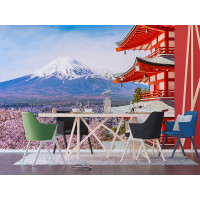 Moderné fototapety - Kvitnúce sakura v Japonsku - 360x270 cm