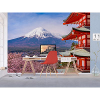 Moderné fototapety - Kvitnúce sakura v Japonsku - 360x270 cm