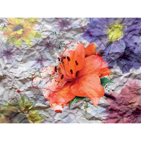 Moderné fototapety - Kvety na papieri - 360x270 cm