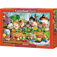CASTORLAND Puzzle Driemajúce mačiatka 1000 dielikov