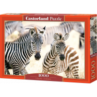 CASTORLAND Puzzle Mladé zebry 1000 dielikov