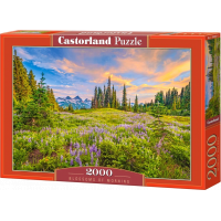 CASTORLAND Puzzle Ranné kvety 2000 dielikov