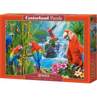 CASTORLAND Puzzle Stretnutie papagájov 2000 dielikov