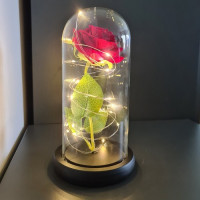 Ruža v skle - žiariaca Malatec 21619
