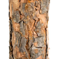 Vianočný umelý stromček - borovica diamantová - 160 cm