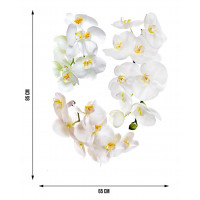 Moderná samolepka na stenu - Kvety orchidey - 65x85 cm