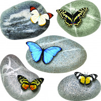 Moderná samolepka na stenu - Motýle na kameňoch - 30x30 cm