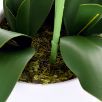 Umelá orchidea 65 cm