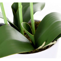 Umelá orchidea 65 cm