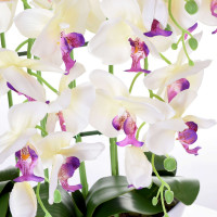 Umelá orchidea 65 cm