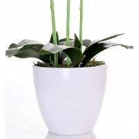 Umelá orchidea 65 cm
