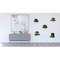Moderná samolepka na stenu - Kvety na kameňoch - 65x85 cm