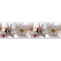Moderná samolepiaca bordúra - Nežné kvety jabloní - 14x500 cm