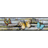 Moderná samolepiaca bordúra - Motýle - 14x500 cm