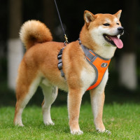 Beztlakový postroj pre psa ASTRO - pomarančový - rozmer L
