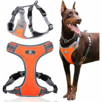 Beztlakový postroj pre psa ASTRO - pomarančový - rozmer XL