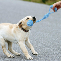 Súprava hračiek pre psov BALTO -10 kusov
