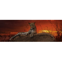 HEYE Panoramatické puzzle Svitanie (Keňa) 2000 dielikov