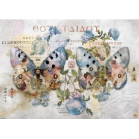 HEYE Puzzle Metamorphosis: Krídla č. II 1000 dielikov