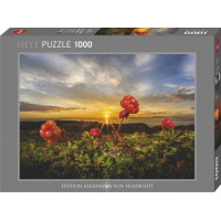 HEYE Puzzle Černice 1000 dielikov