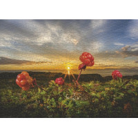 HEYE Puzzle Černice 1000 dielikov