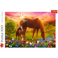 TREFL Puzzle Kone na lúke 500 dielikov