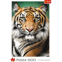 TREFL Puzzle Tigrie portrét 1500 dielikov