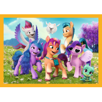 TREFL Puzzle My Little Pony: Zoznámte sa s poníkmi 4v1 (35,48,54,70 dielikov)