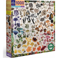 EEBOO Štvorcové puzzle Hubová dúha 1000 dielikov