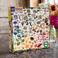 EEBOO Štvorcové puzzle Hubová dúha 1000 dielikov
