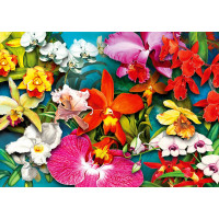 ENJOY Puzzle Džungľa orchideí 1000 dielikov