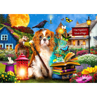 ENJOY Puzzle Škola kúziel 1000 dielikov