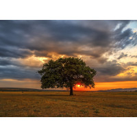 ENJOY Puzzle Súmrak 1000 dielikov