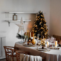 LED vianočná hviezda stolná, 10x LED