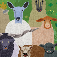 PRINCETON ARCHITECTURAL PRESS Puzzle Sheepology 1000 dielikov