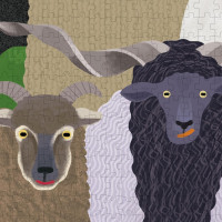 PRINCETON ARCHITECTURAL PRESS Puzzle Sheepology 1000 dielikov