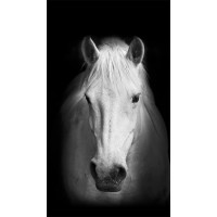 Dizajnový záves - Biely kôň - 140x245 cm