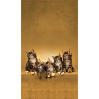 Dizajnový záves - Mačky - 140x245 cm