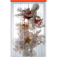 Dizajnový záves - Kvety jabloní - 140x245 cm