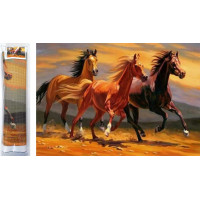 Norimpex Diamantové maľovanie Tri žrebce 80x40cm