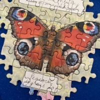 GIBSONS Puzzle Nádherní motýlikovia 1000 dielikov