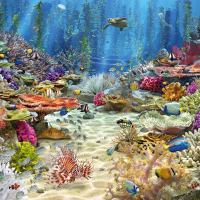 CHERRY PAZZI Puzzle Koralový útes Paradise 2000 dielikov