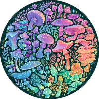 RAVENSBURGER Okrúhle puzzle Kruh farieb: Huby 500 dielikov