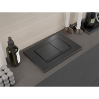Ovládacie tlačidlo splachovadla pre modul FENIX XS typ 10 - gun grey - dvojčinné, 601066