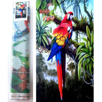 Norimpex Diamantové maľovanie Farebné papagáje 80x40 cm