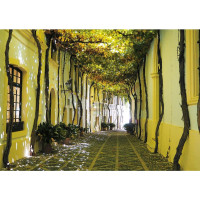 PIATNIK Puzzle Andalúzska ulička 1000 dielikov