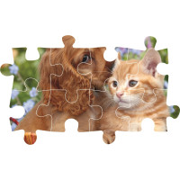 CLEMENTONI Puzzle Roztomilí kamaráti MAXI 104 dielikov