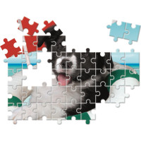 CLEMENTONI Puzzle Zvierací kamaráti 10v1 (18, 30, 48, 60 dielikov)