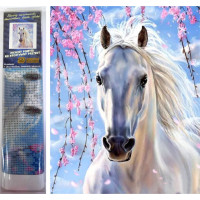 Norimpex Diamantové maľovanie Biela kobyla 30x40 cm